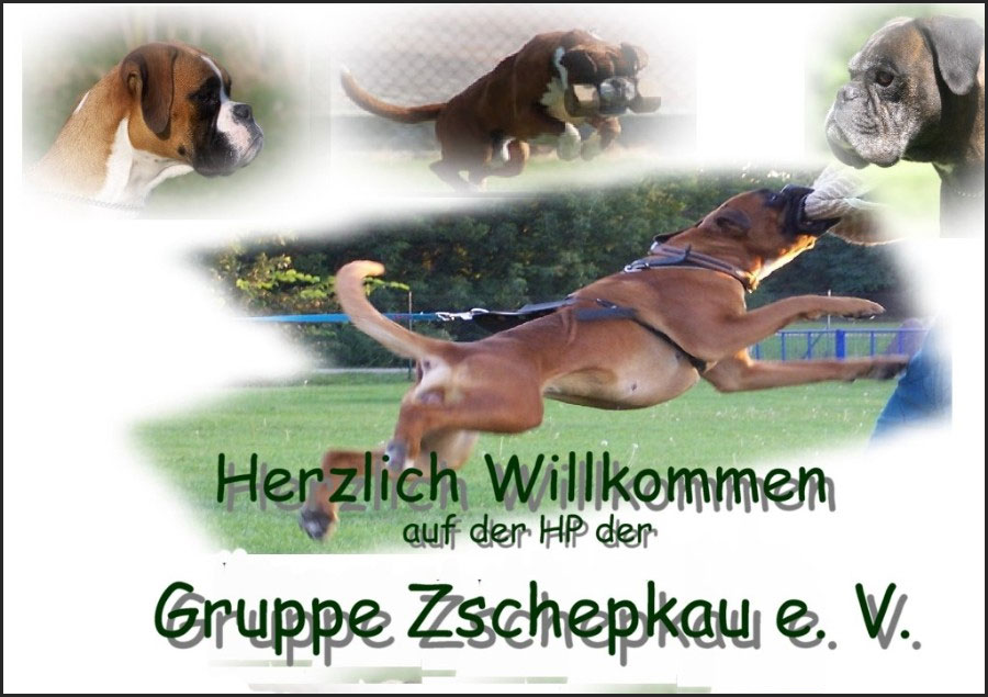 Boxergruppe Zschepkau e.V.